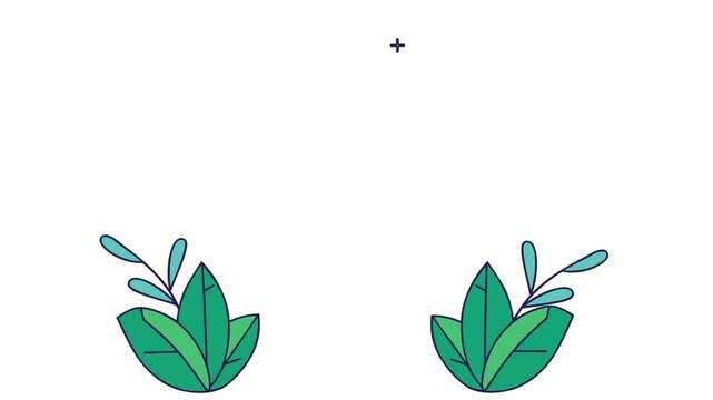 Flat leaf decor elements. Animated green leaf icons, alpha channel. Cartoon