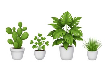 Fototapeta premium Four distinct potted indoor plants in white containers isolated on white background