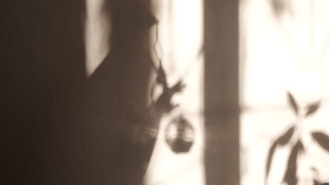 A blurred shadow of a child dances on the wall &mdash; a girl playing with Christmas decorations, exploring the magic of light and shadow. She&rsquo;s waiting for the holidays with quiet anticipation. Winter mood