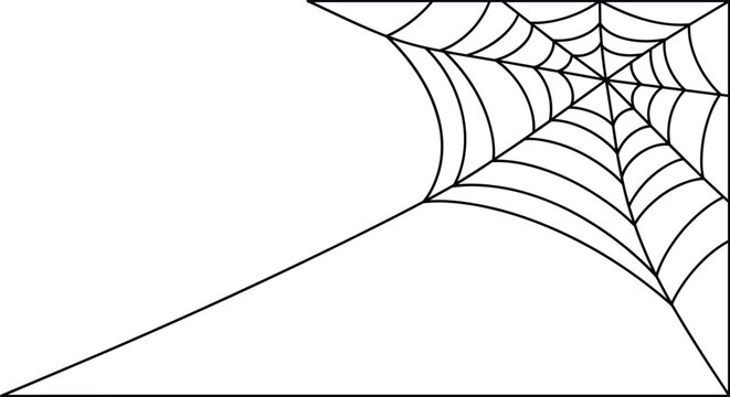 Simple black and white line drawing of a spider web located in a corner, showcasing intricate circular patterns and connecting strands of silk.