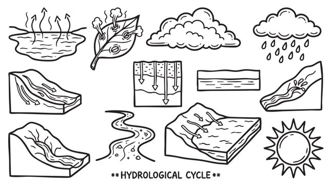 Hydrological water cycle stages with evaporation precipitation and runoff processes.