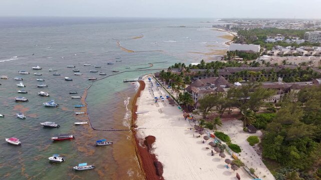 Aerial drone view of sargassum seaweed bloom on Playa del Carmen beach. Environmental problem showing brown sargazo algae accumulation on Mexican Caribbean coast.
