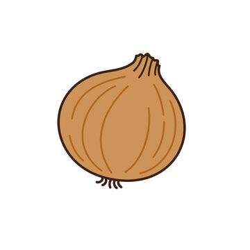 シンプルかわいい玉ねぎのベクターイラスト／Simple and cute onion vector illustration