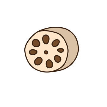 シンプルかわいいレンコンのベクターイラスト／Simple and cute lotus root vector illustration