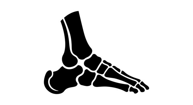 Black Silhouette of Human Foot Skeleton Anatomy.