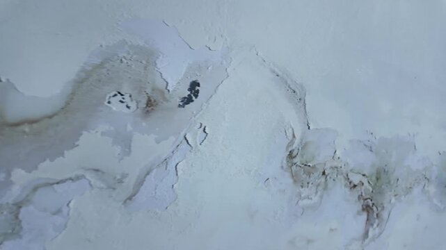 Damaged Wall Paint Peeling and Cracked with Water Stain Moisture Damage