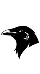 Fototapeta premium Close-up portrait of a black crow in flight.