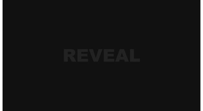 Minimalist reveal text animation with dynamic red color transition on dark animation background
