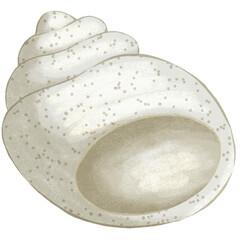 Hand drawn grey moon snail shell nursery element with paper texture © Jundelly Atelier