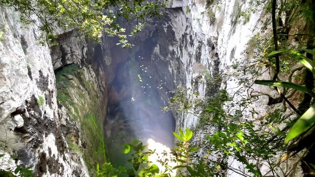 Birds eye view of S&oacute;tano de las Golondrinas cave with parrots flying. Spectacular aerial video of Cave of Swallows sinkhole in Huasteca Potosina, Mexico.
