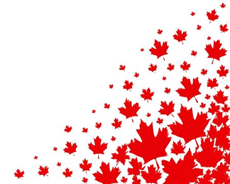Red maple leaves falling on white background
