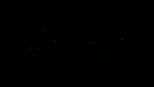 Nagano, Japan - June 10, 2026: Live recording of flying fireflies in Nagano, Japan