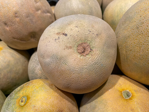 Fresh Whole Rockmelon Cantaloupe Background