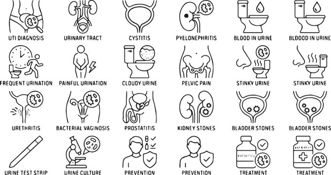 Urinary Tract Infection UTI and Urology Diseases Vector Line Icons Set (Includes Cystitis, Kidney Stones, Painful Urination, Bladder Stones, and Medical Diagnostics Concepts)