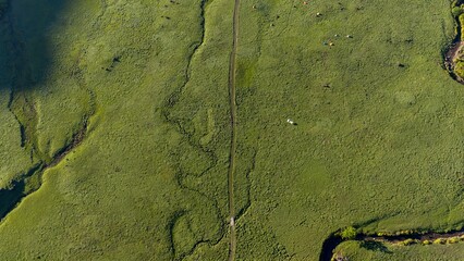 初夏の久住高原 ミヤマキリシマ群生地の空撮風景 © landscape photo