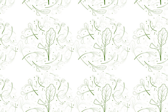 Seamless pattern young leaves seedlings. Broccoli Microgreen in circle frame. Raw sprouts, healthy eating concept. Vector illustration