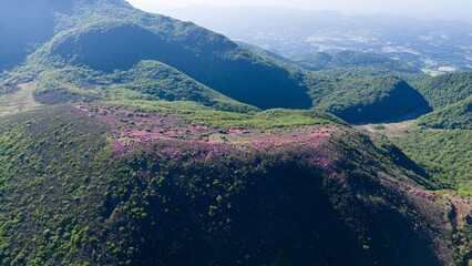 初夏の久住高原 ミヤマキリシマ群生地の空撮風景 © landscape photo
