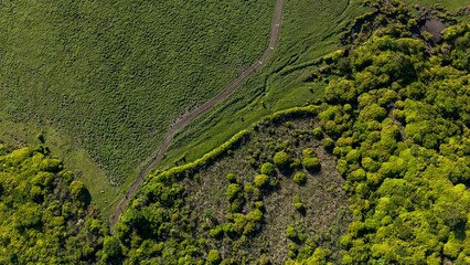 初夏の久住高原 ミヤマキリシマ群生地の空撮風景 © landscape photo