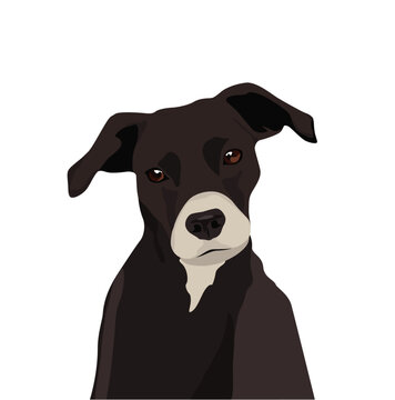Black Dog Portrait Vector Illustration with Curious Expression and Isolated Background