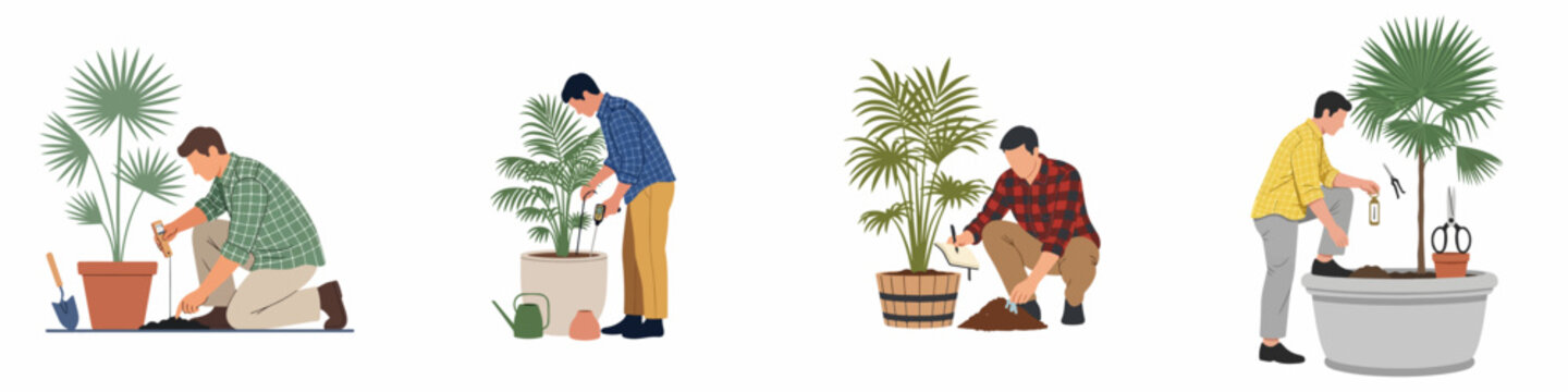 Collection of flat vector illustrations depicting men engaged in various indoor plant care activities like soil testing, pruning, and recording growth data.