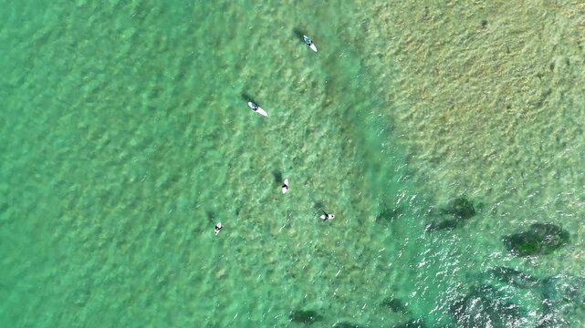 Drone video aerial view of surfers waiting to catch the next wave at a beach in Sydney Australia in summer 