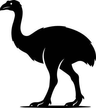 black moa bird with long leg