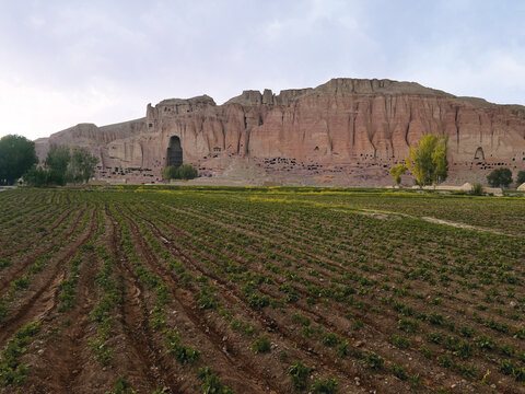 The Buddha statues of Bamyan were monumental symbols of history, culture, and spirituality. Carved into towering cliffs, they reflected the rich heritage of the ancient Silk Road in Afghanistan.