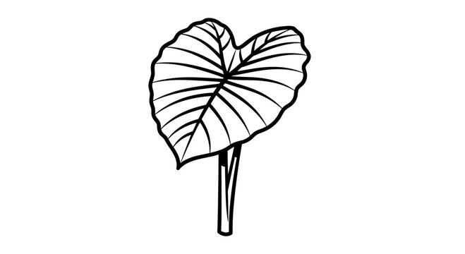 Black and white line art illustration of a tropical taro leaf