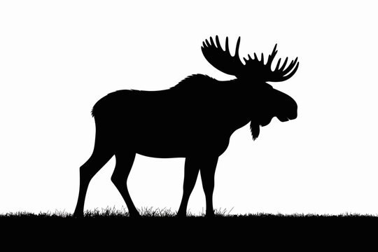 Moose Silhouette Vector Illustration Large Elk with Antlers Standing on Grass Isolated on White Background