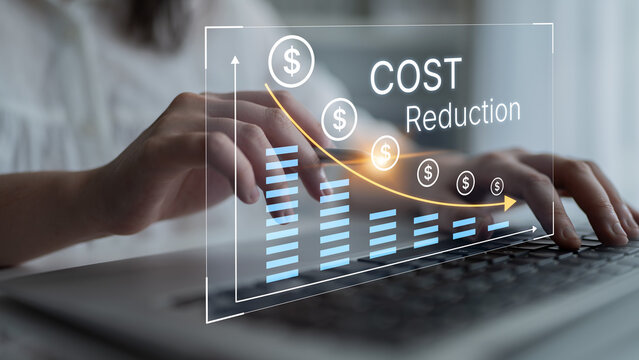 Business Person Analyzing Cost Reduction Strategies with Financial Graphs on Laptop in Modern Office Environment. Bitwise.