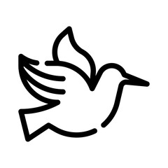 hummingbird line icon © notivestudios
