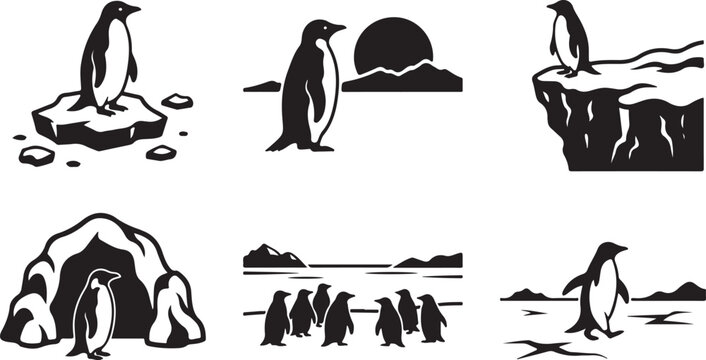 Penguin icons, black and white, vector illustrations, polar animals, ice, cold climate, wildlife, 6 pcs