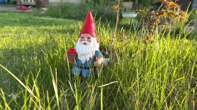 Garden gnome statue stands among tall grass and plants in sunlit yard setting