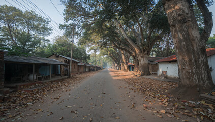 Fototapeta premium Rural dirt road lined with large trees and simple village houses in a rustic countryside setting countryside landscape environment traditional developing community outdoors tranquil peaceful