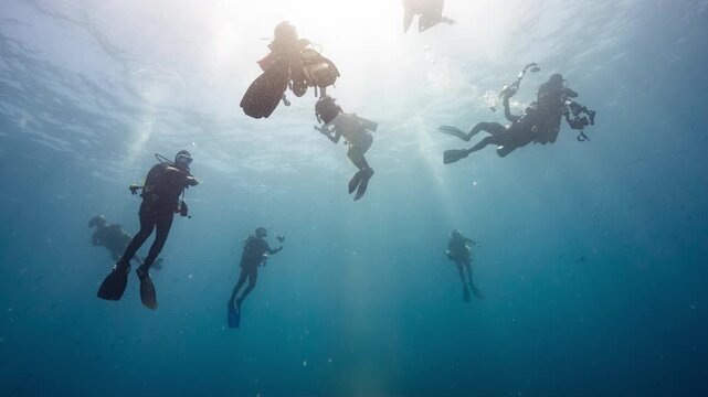 Underwater shot of SCUBA Divers silhouetted against the sun as they ascend to the surface in Palau's Marine sanctuary