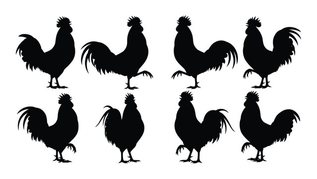 eight rooster silhouettes on white background silhouette chicken bird farm animal black vector graphic design pattern ornament farmhouse rural agriculture