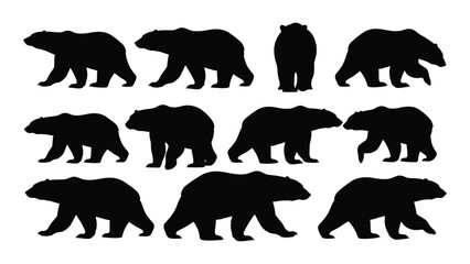 bear silhouettes in various poses silhouette animal wildlife nature black white background vector graphic design illustration fauna mammal carnivore arctic © SIMPLYXRIAD