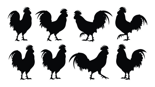 eight rooster silhouettes on white background silhouette chicken bird farm animal black vector graphic design illustration farmhouse rural agriculture avian