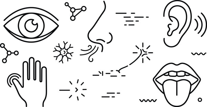 Five human senses vector icon set featuring eye nose ear hand tongue neuron and molecule symbols for perception