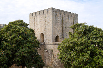 Obraz premium The medieval stone keep and battlements of Elvas Castle surrounded by lush green trees in the historic garrison border town of Elvas, Alentejo region, Portugal.