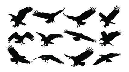 eagle silhouettes in various flight poses silhouette bird pose black white background animal wildlife nature wing beak claw sky freedom © SIMPLYXRIAD