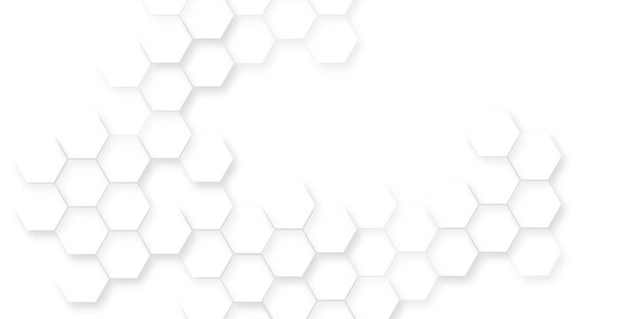 Abstract white 3d hexagonal surface with geometric wave line, light white hexagonal tile pattern, abstract white honeycomb structure featuring organic geometric patterns creates a modern design.