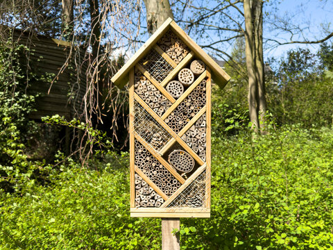 A wooden insect house, or insect hotel, stands in a lush green garden on a sunny spring day. The structure provides nesting and shelter for solitary bees and ladybirds, supporting biodiversity.