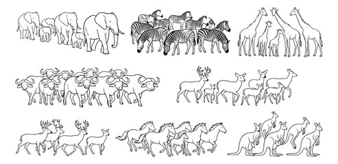 African wildlife animal herds line art, safari animal silhouettes, black and white vector set © usmi
