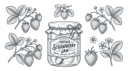 Vintage strawberry jam jar and berry sprigs in engraving style © noval
