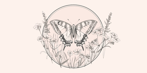 Butterfly And Floral Ornament A Detailed Vector Illustration © Tapan