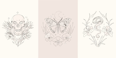 Floral Skull Butterfly And Snake Triptych Line Art Illustration © Tapan