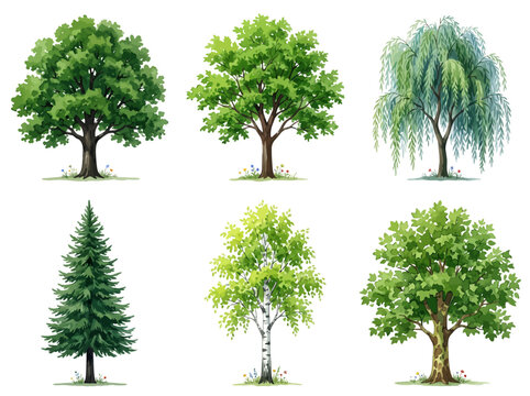 Six distinct hand painted watercolor trees featuring vibrant green foliage and detailed realistic wooden trunks