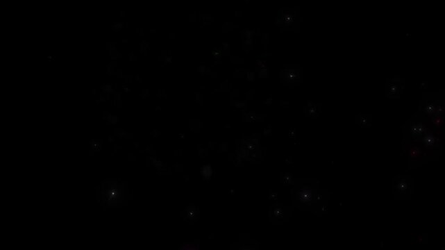 Vibrant fireworks explode in night sky