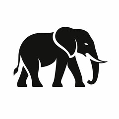 Fototapeta premium Black Silhouette of Elephant Walking Side View 
